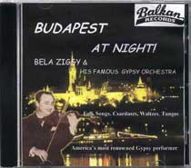 BUDAPEST AT NIGHT